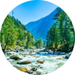 Crystal-clear mountain river flowing through a pine forest valley in Himachal Pradesh.