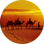 Camel caravan crossing golden sand dunes during a vibrant desert sunset in Rajasthan.